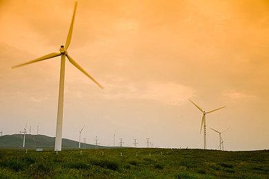 神谷英树今年想在游戏行业在入职 为了“吃口饭”